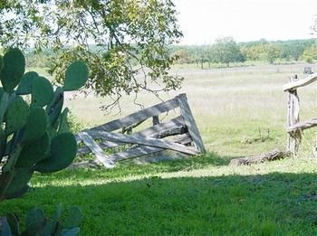Back Forty Of Fredericksburg Bed & Breakfast エクステリア 写真